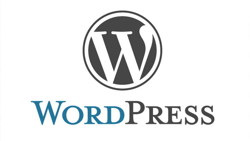 Bodrum Web Tasarım Wordpress Geliştirme